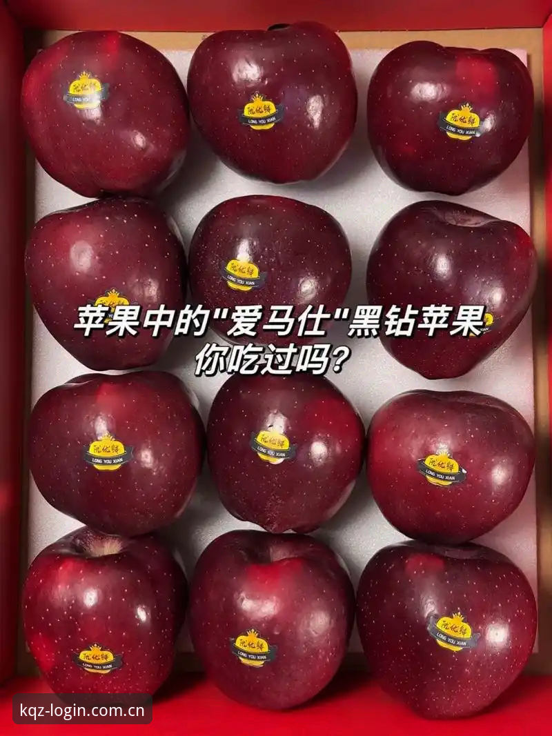 揭秘开全站登录平台体验升级：iOS版v2.3.0背后的真相